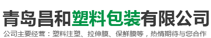 淄博寶鳳食品